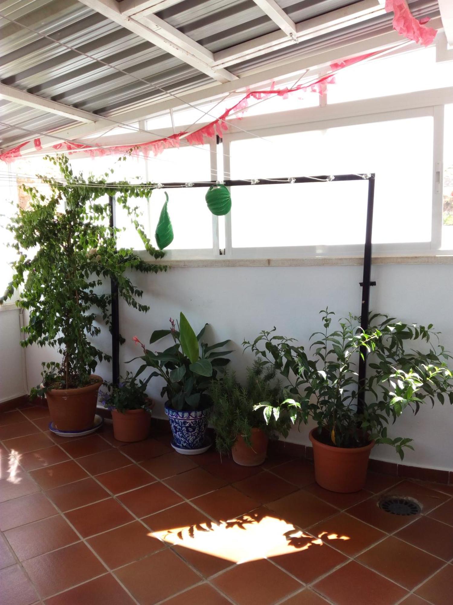 Guest house Rural Montual