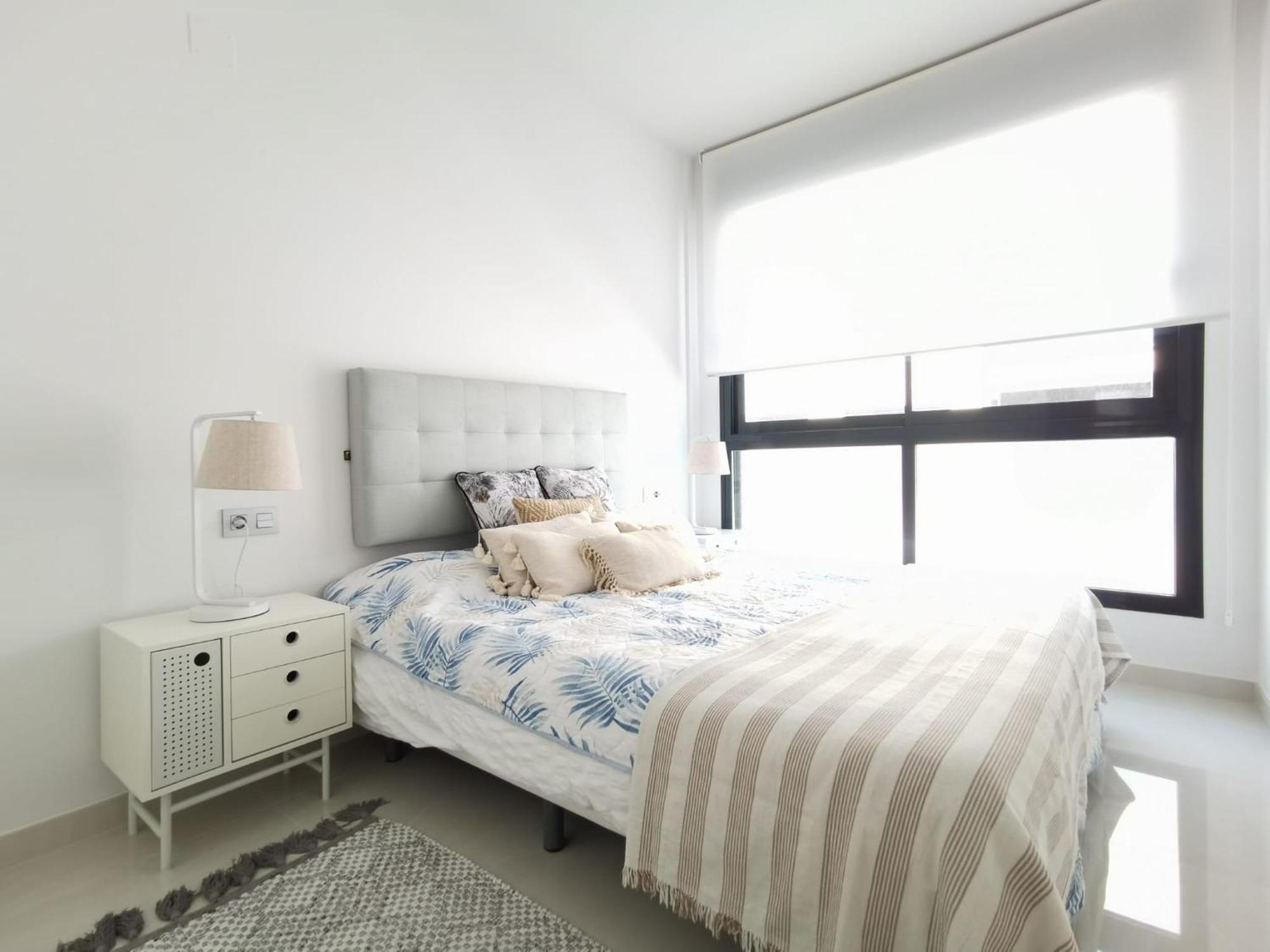 Apartment Luxury