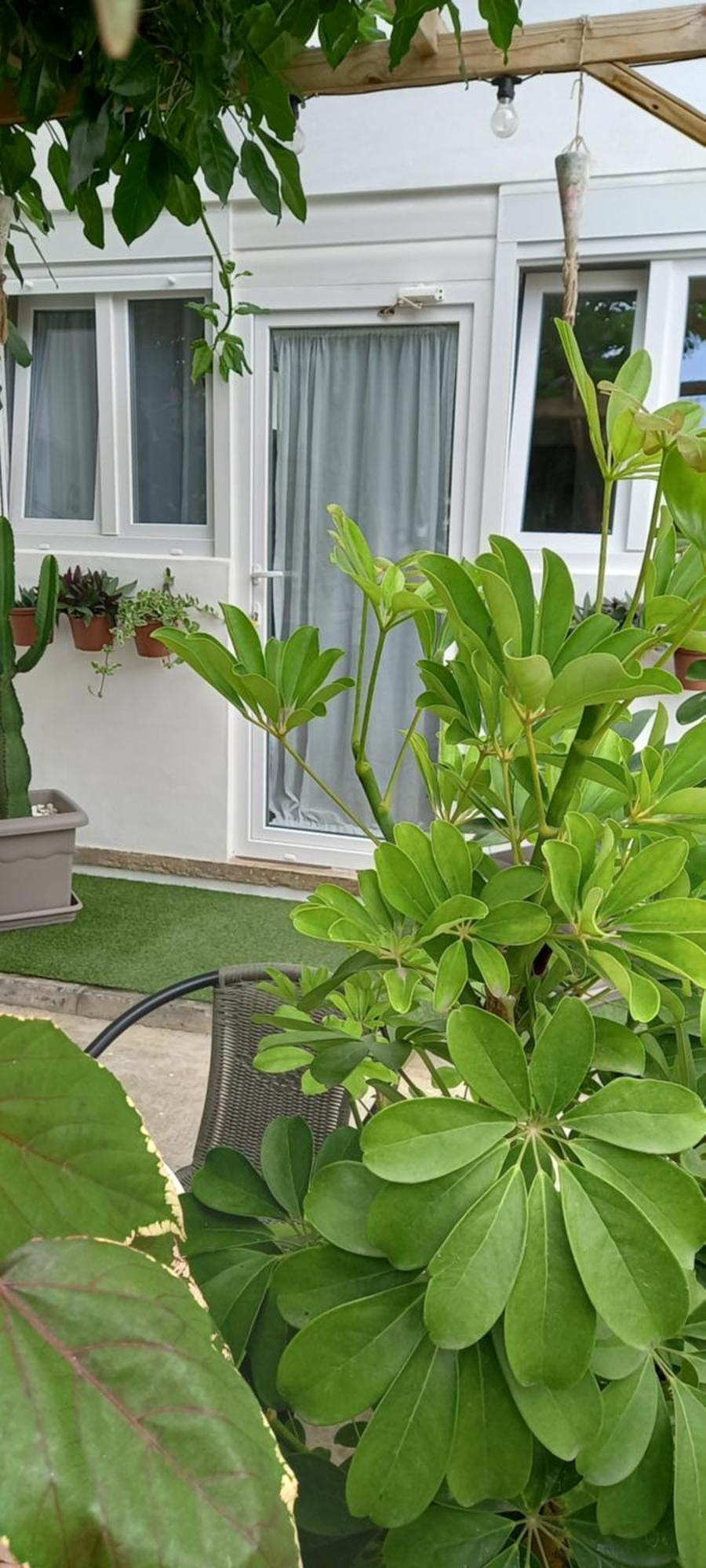 Apartamento Welcome Garachico (Tenerife)