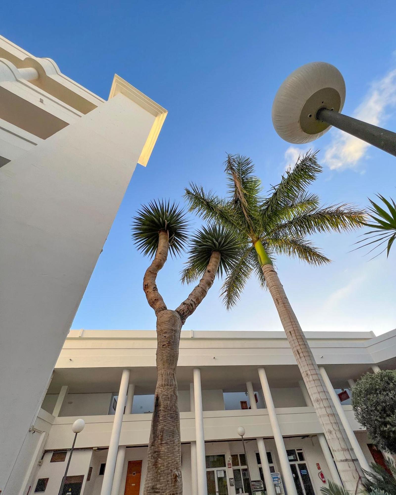 Apartamento Lux Costa Adeje (Tenerife)