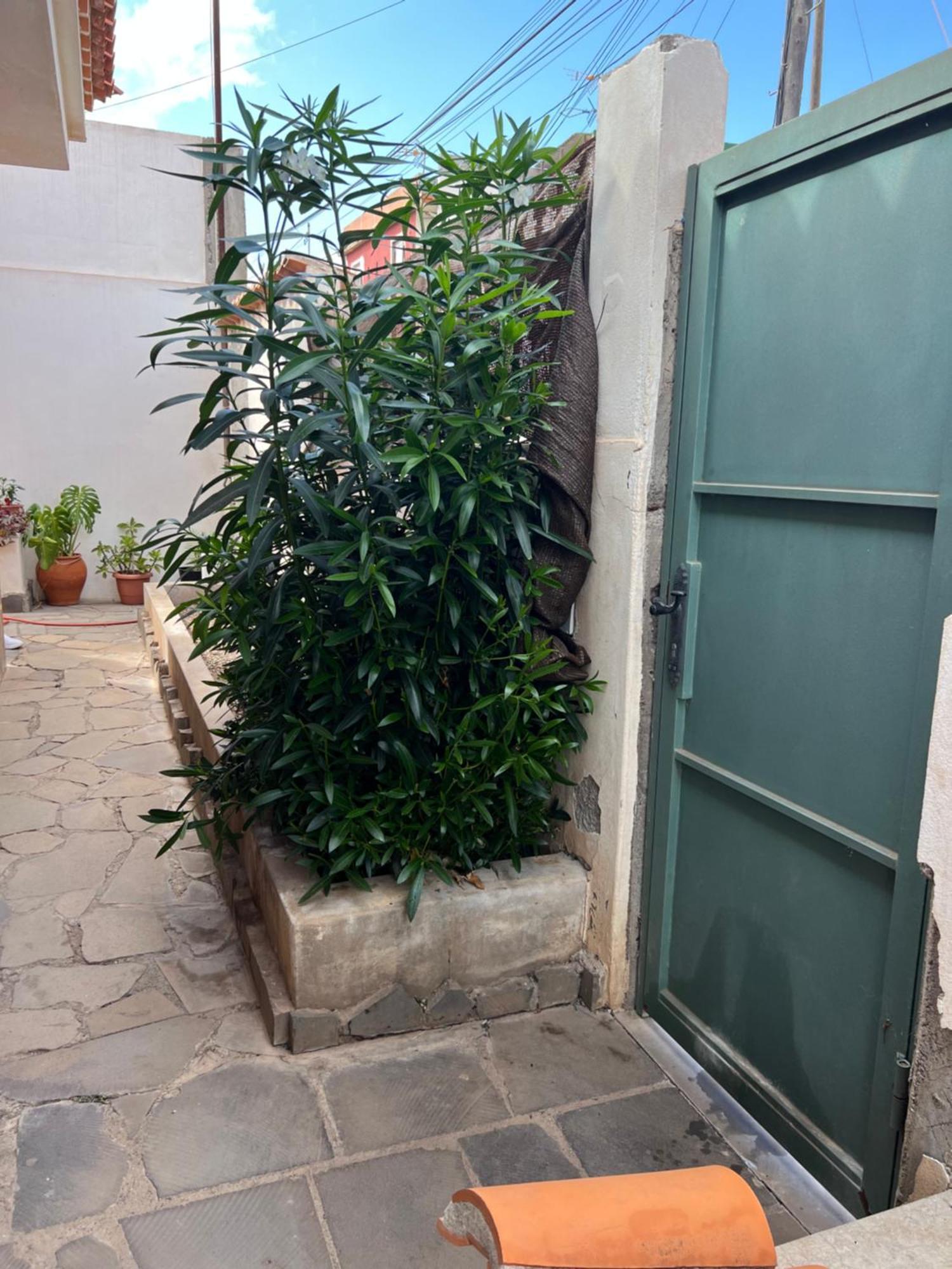 Atico Casa De Invitados Bluemoon Apartamento La Laguna (Tenerife)