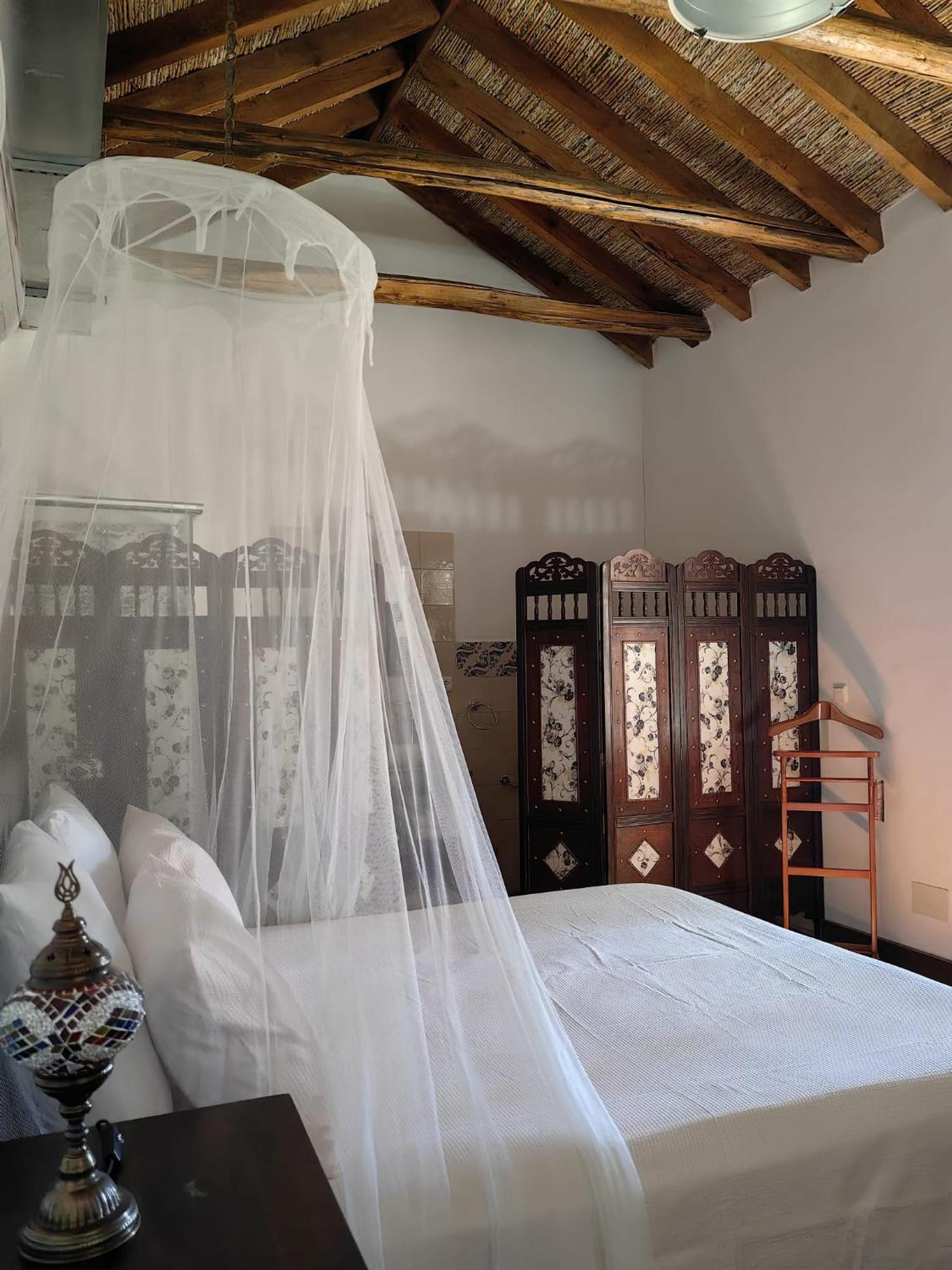 La Canota King Adults Only Talara