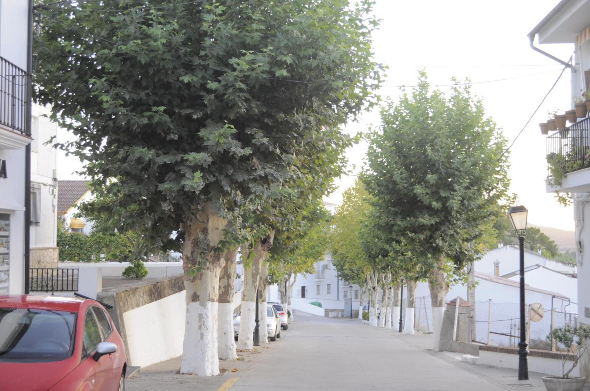 Azahares Turistico Apartamento