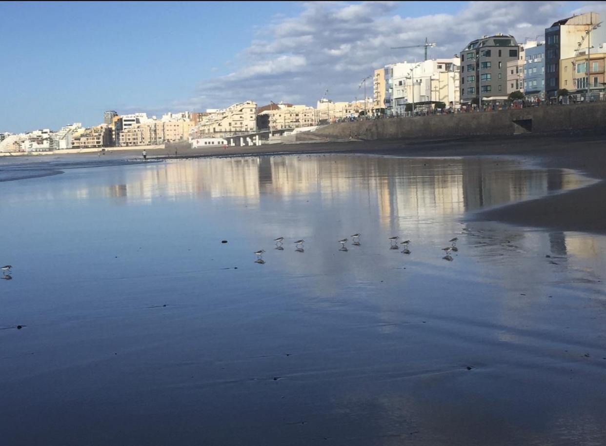 Apartamento Canteras