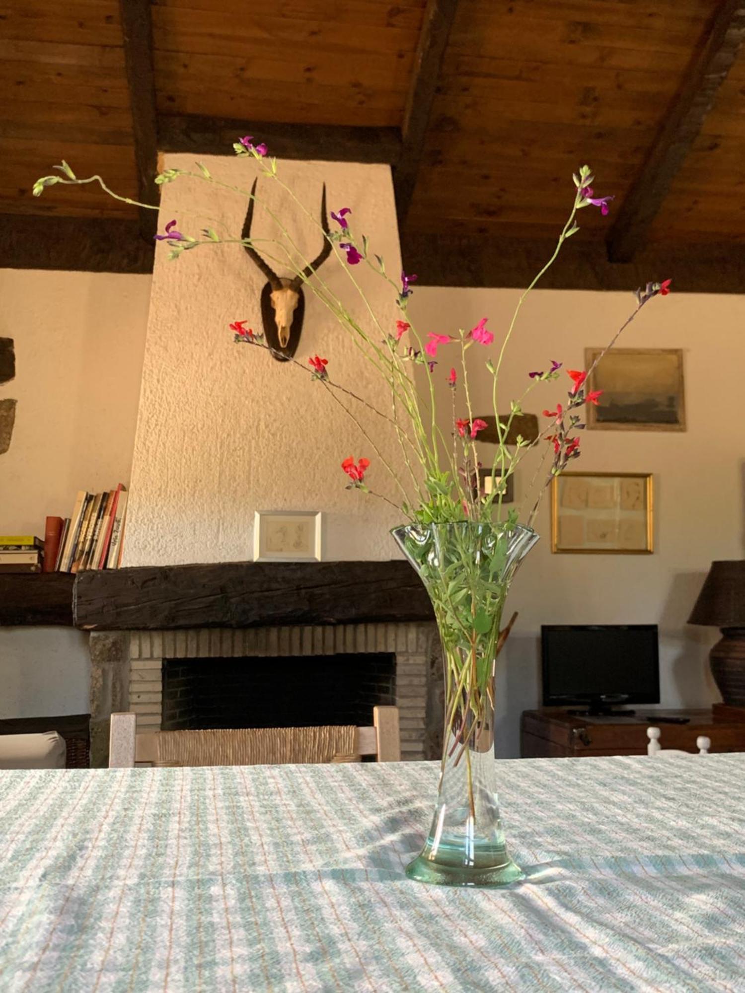 Сasa de vacaciones La Casita Del Hortelano
