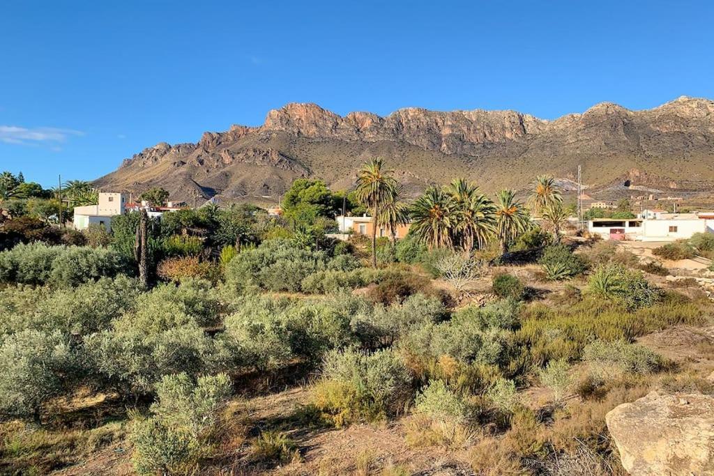 Sea View Family With Private Pool, San Juan De Terreros * Pulpi
