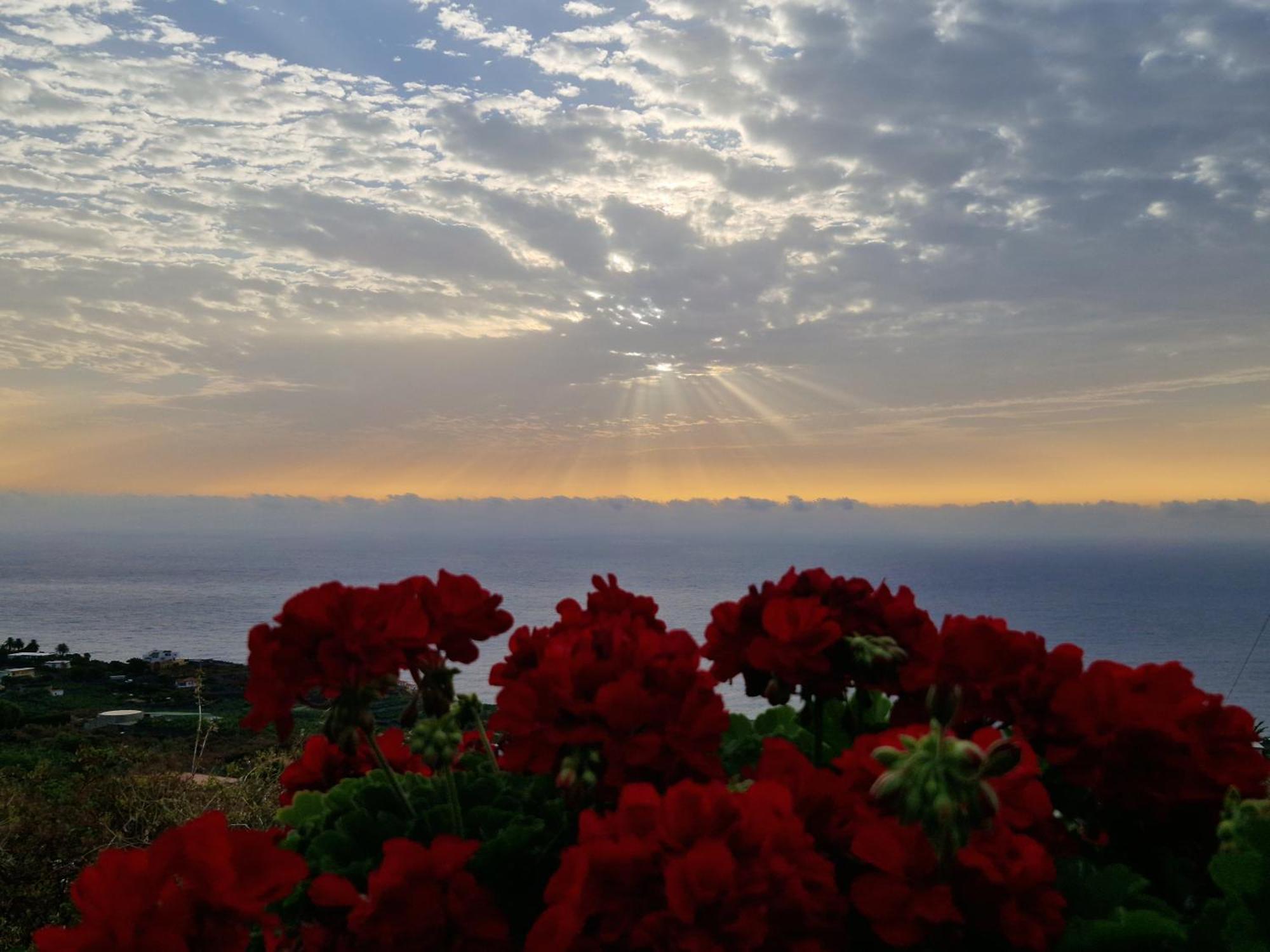 Casita Canaria Con Vista Breña Baja
