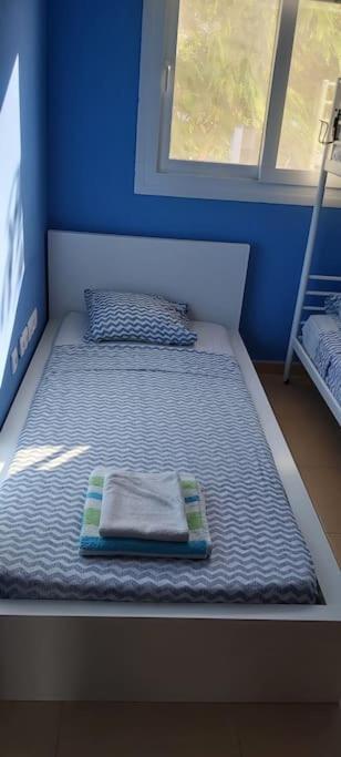 Condado De Alhama, Naranjos 8