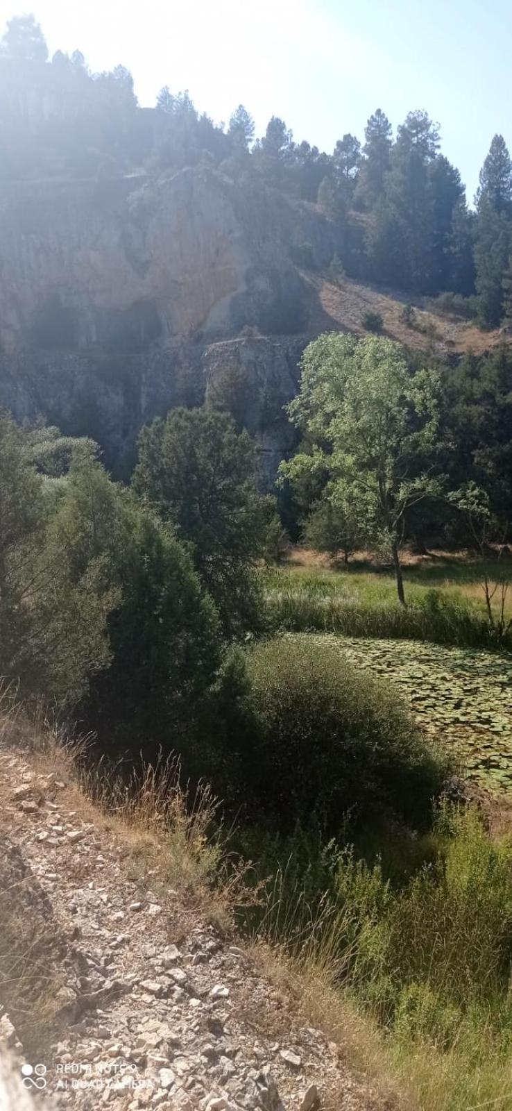 Entrada Rio Lobos Hontoria del Pinar