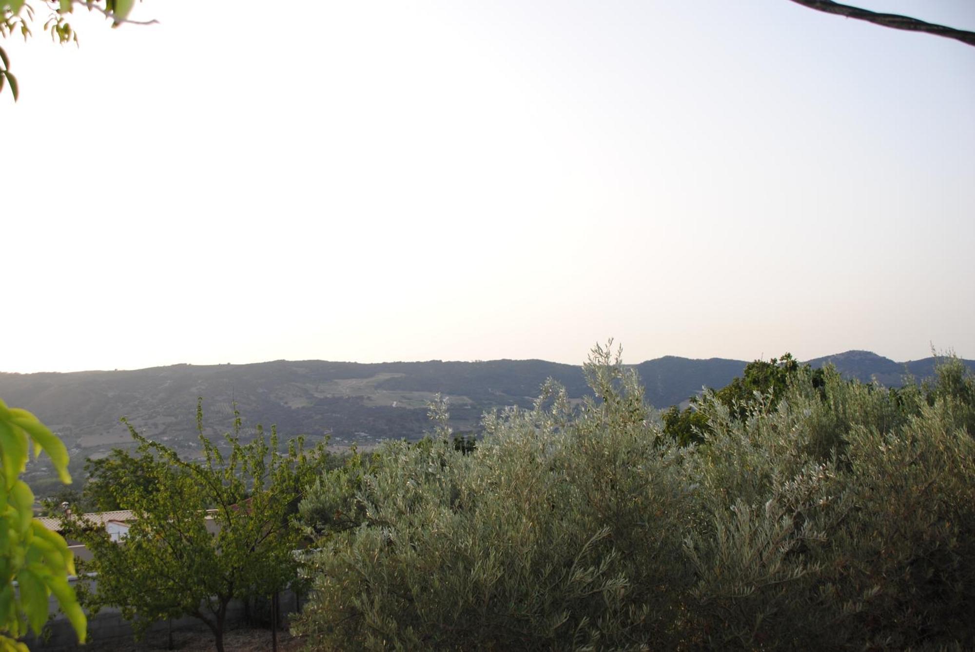 Casa La Pecha, Holiday home Ronda