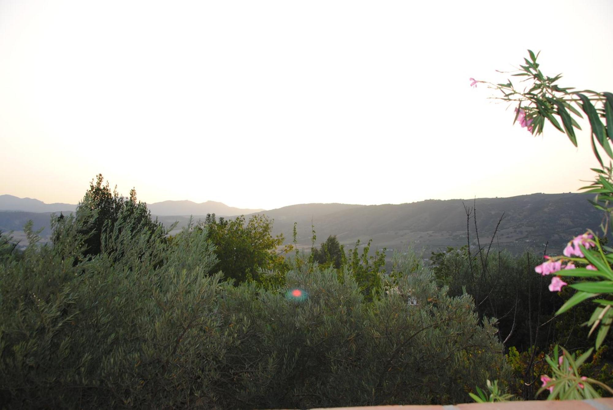 Casa La Pecha, Holiday home