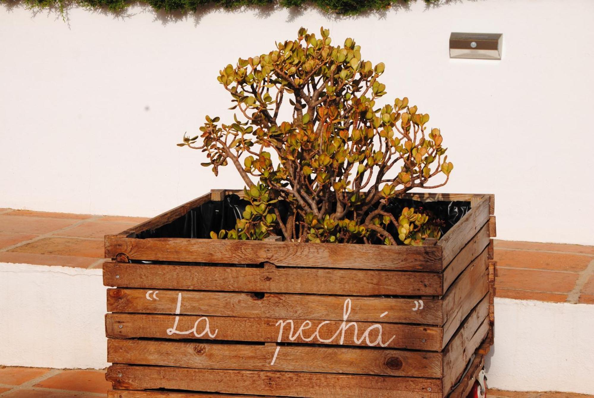 Casa La Pecha, * Ronda