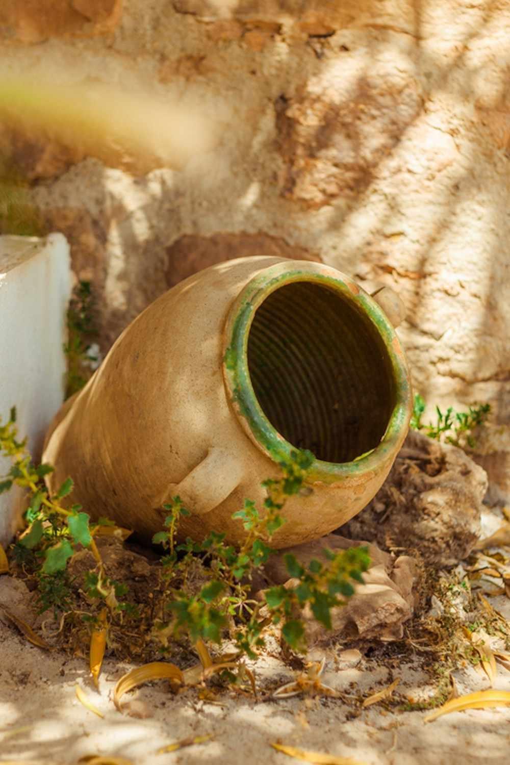 El Vizconde Naturaleza Con Tus Hijos Holiday home Arquillos