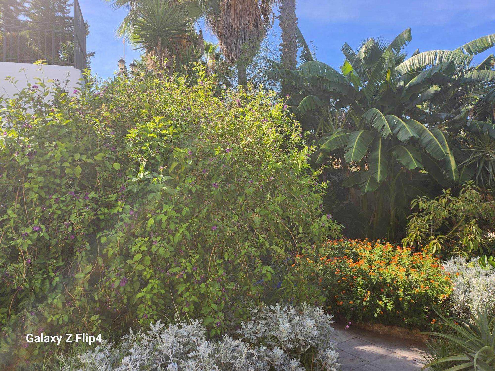 Pensión Deluxe Athos 50 Mp Garden Patio Golf & Benalmádena
