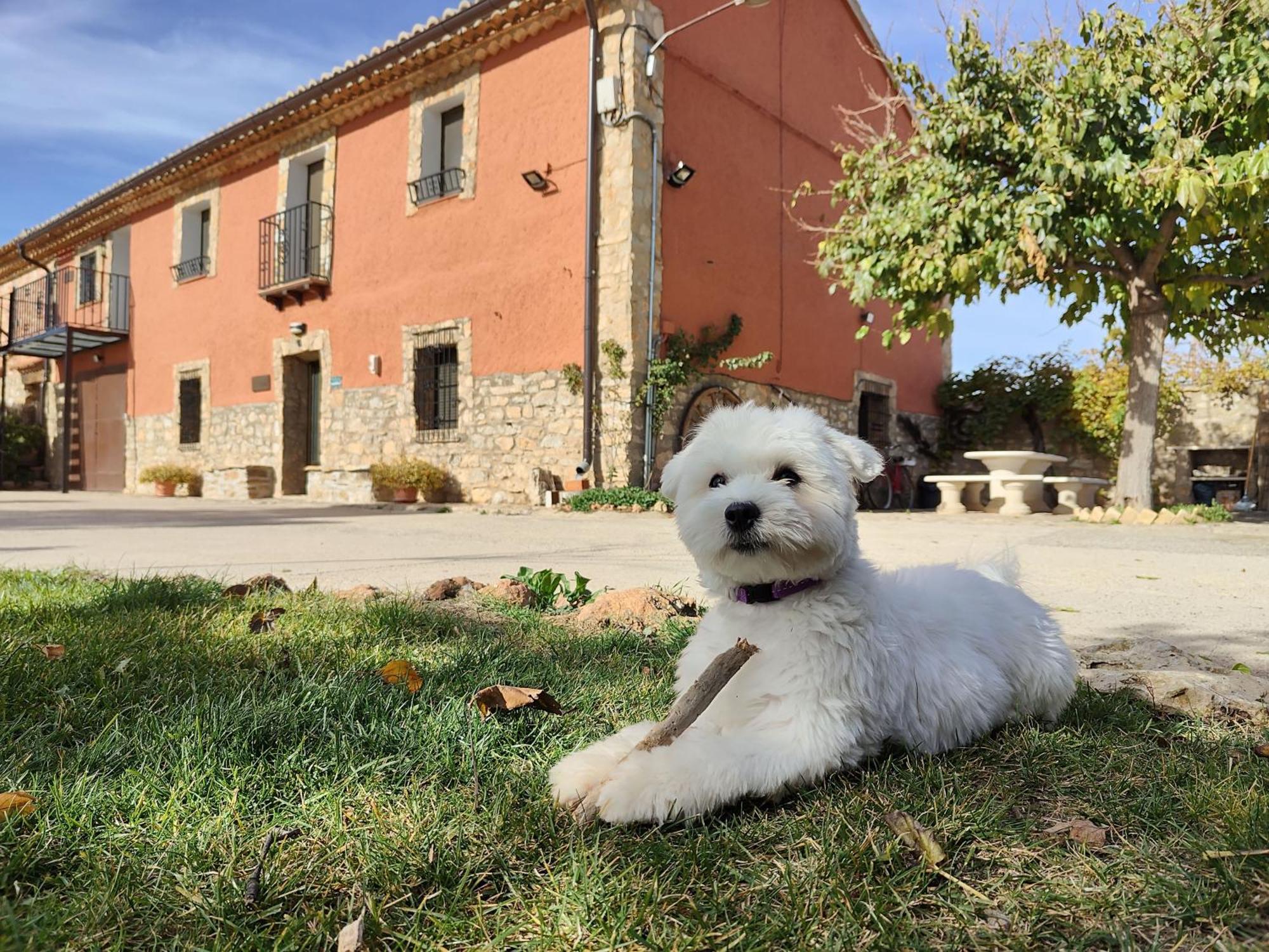 Country house Masadas