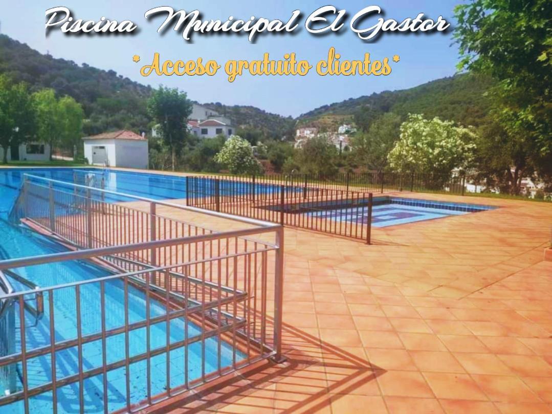 Castor Y Polux Apartment