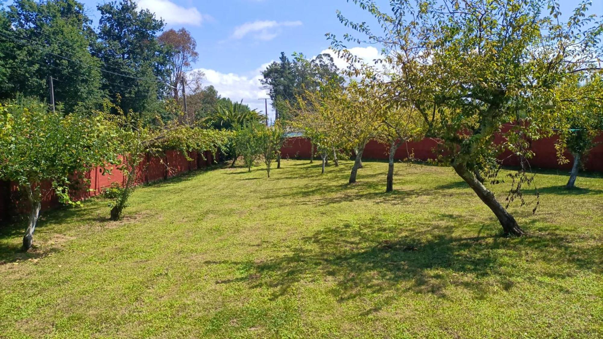 Spacious House With Garden In - Family-friendly * Touro
