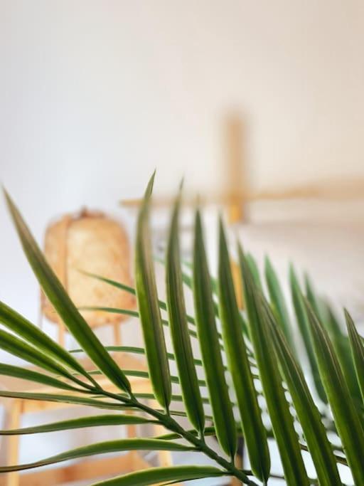 Apartamento Casa Bamboo Luminoso Y Espacioso, Piscina *