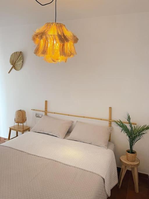 Casa Bamboo Luminoso Y Espacioso, Piscina Apartamento *