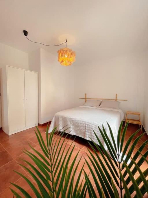 Casa Bamboo Luminoso Y Espacioso, Piscina