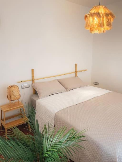 Casa Bamboo Luminoso Y Espacioso, Piscina
