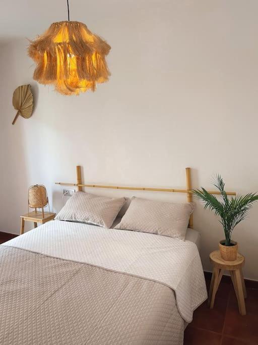 Casa Bamboo Luminoso Y Espacioso, Piscina *