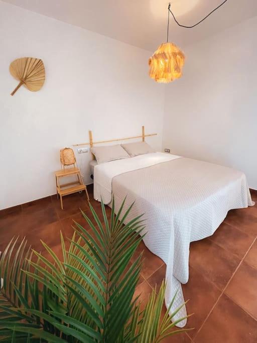Casa Bamboo Luminoso Y Espacioso, Piscina Apartamento