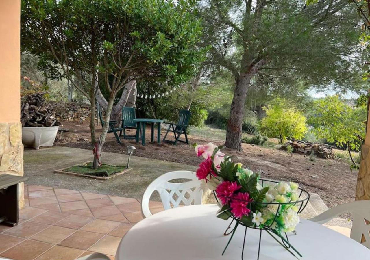 Unique - Tiny Eco Country Villa Cabanes (Valencia)