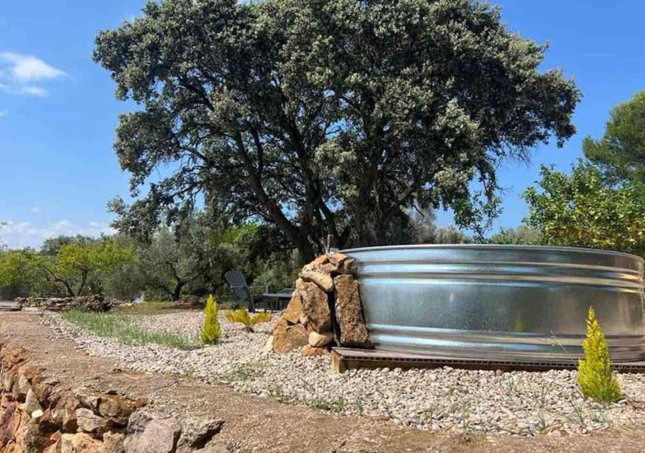Unique - Tiny Eco Country Villa Cabanes (Valencia)