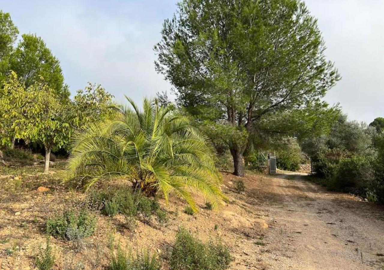 Villa Unique - Tiny Eco Country