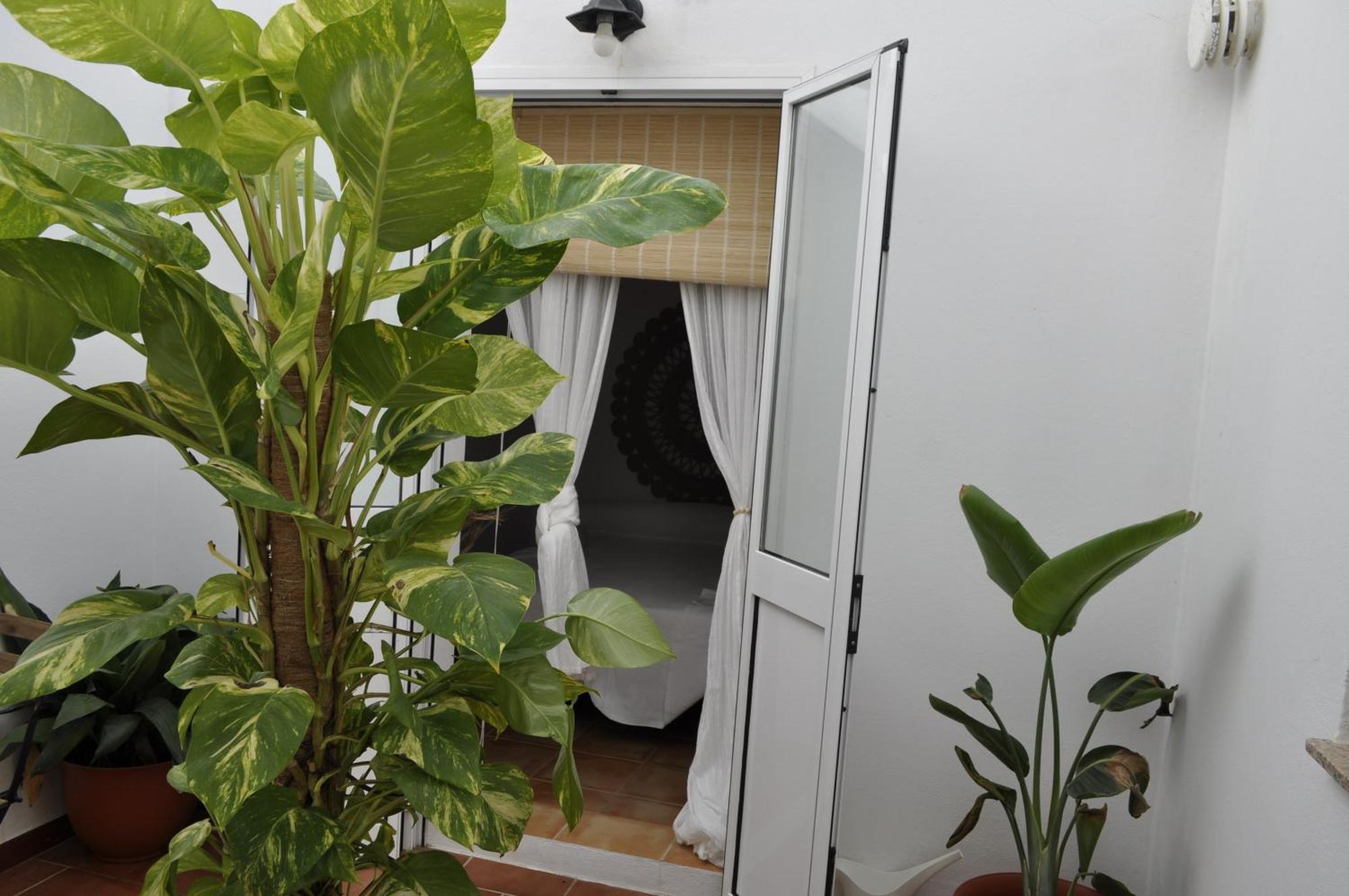 Apartamento Azahares Turistico