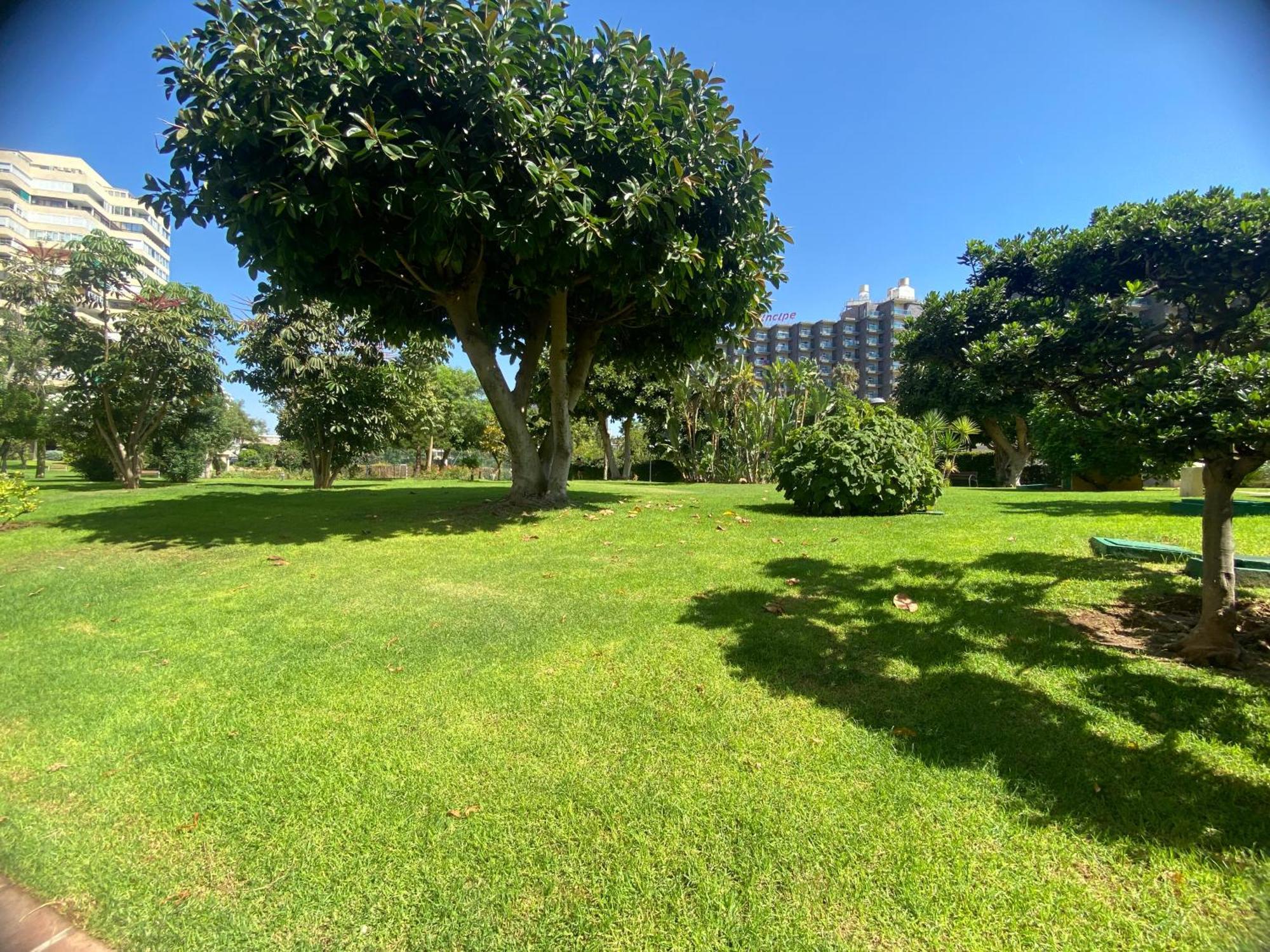 Apartamento Torres De Playamar