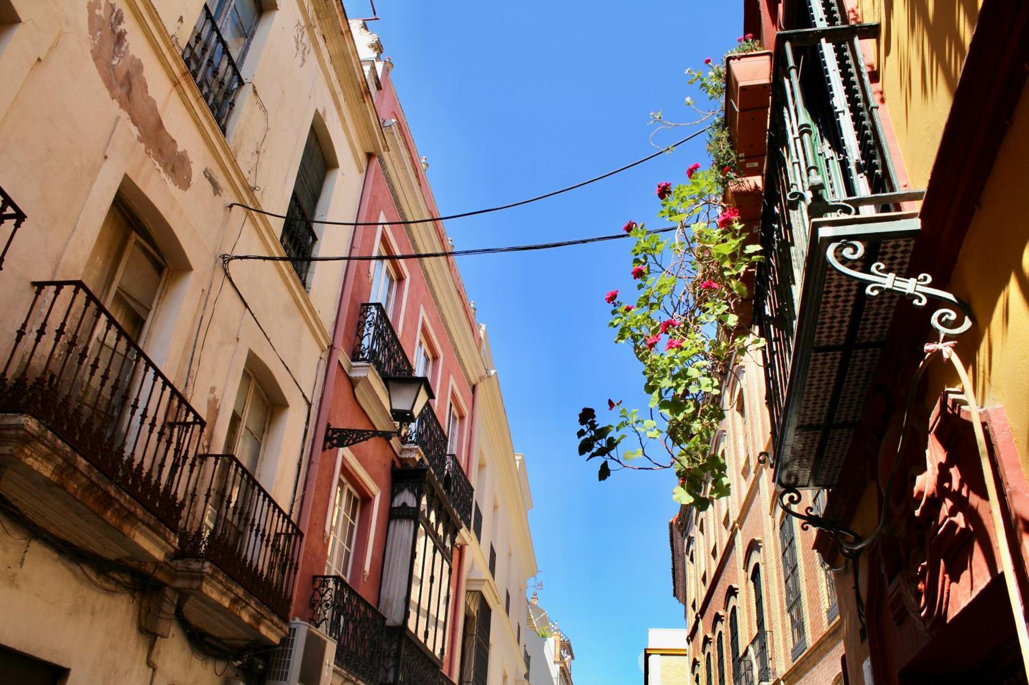 Apartamento Wish Plaza Nueva