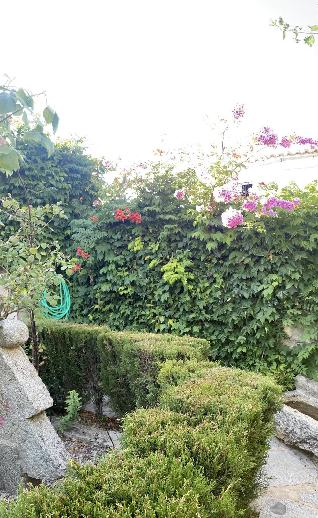 Piedras De Сasa de vacaciones *