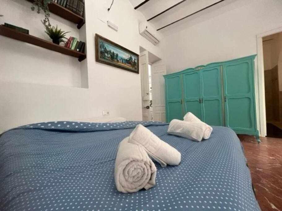 Casa Palacio Del Siglo Xviii En Centro *