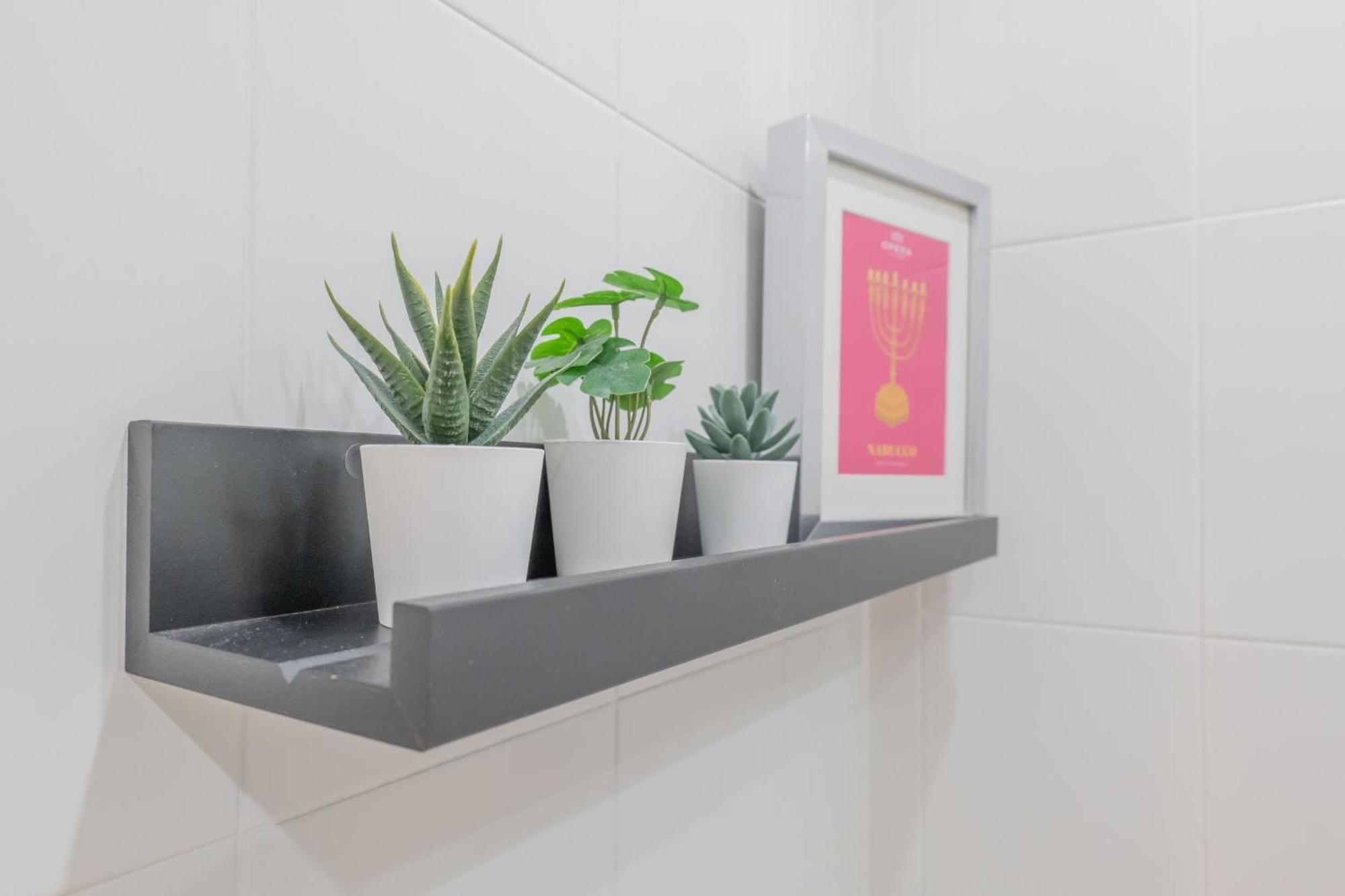 Nabucco Apartamento Oviedo