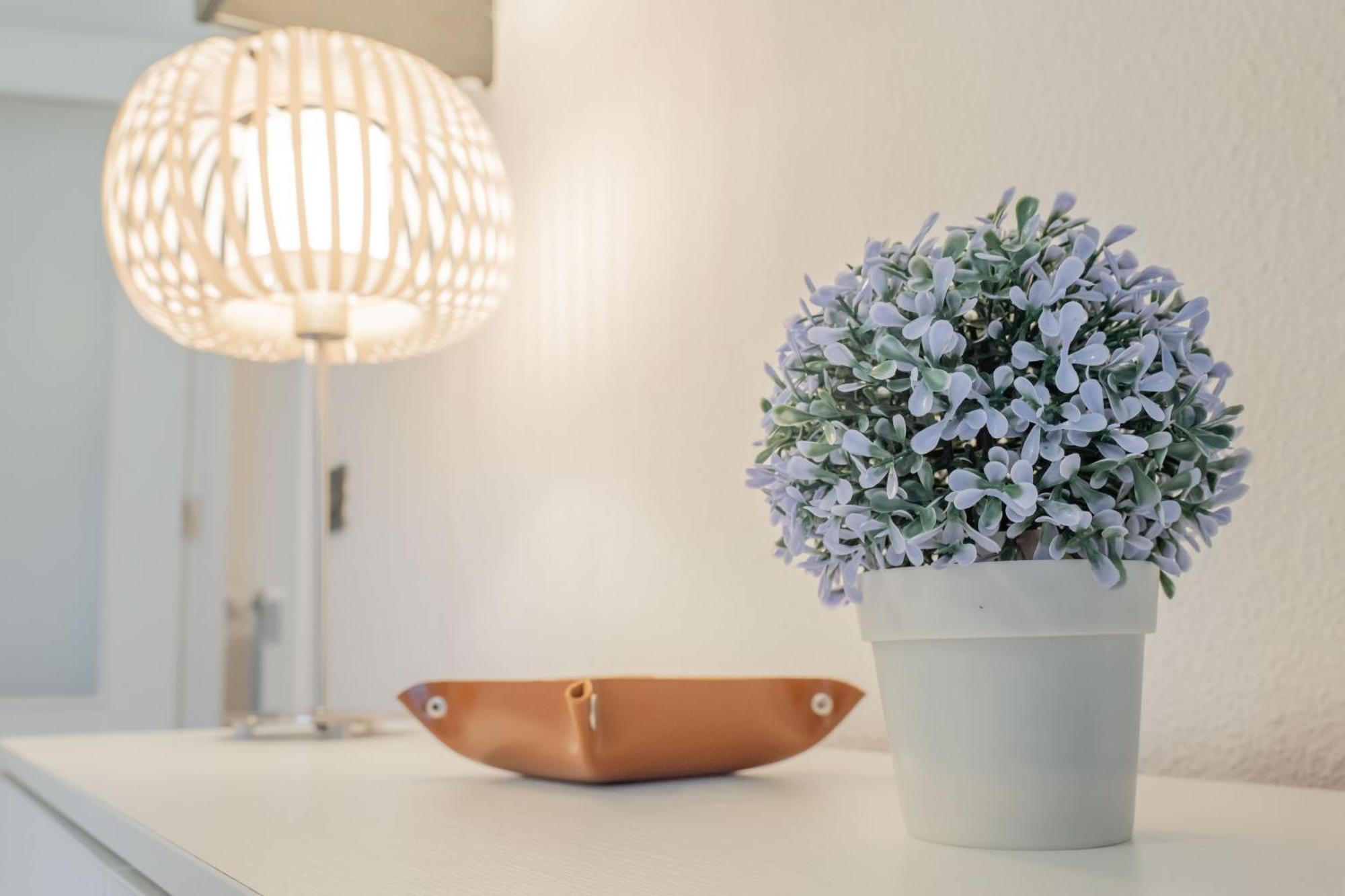 Apartamento Nabucco *