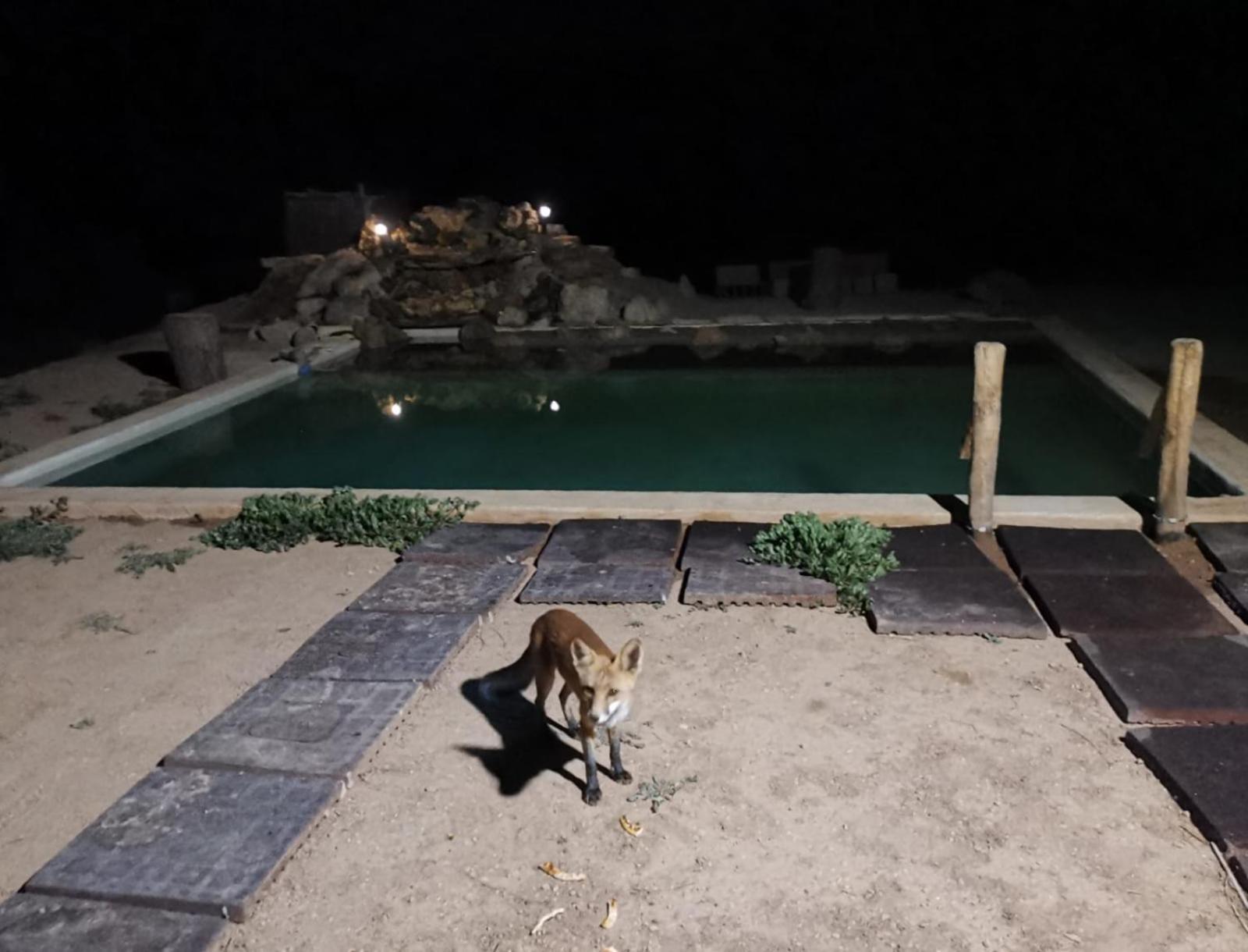 Casa De Las Balsillas Holiday home Villatoya