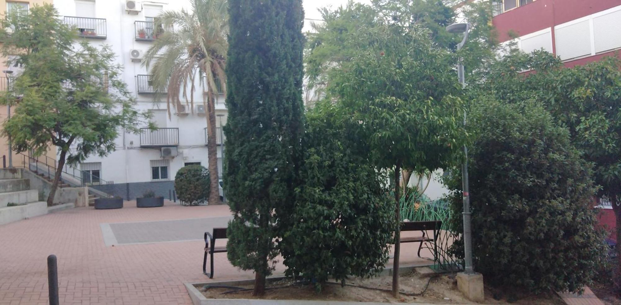 Esencia I * Jaen