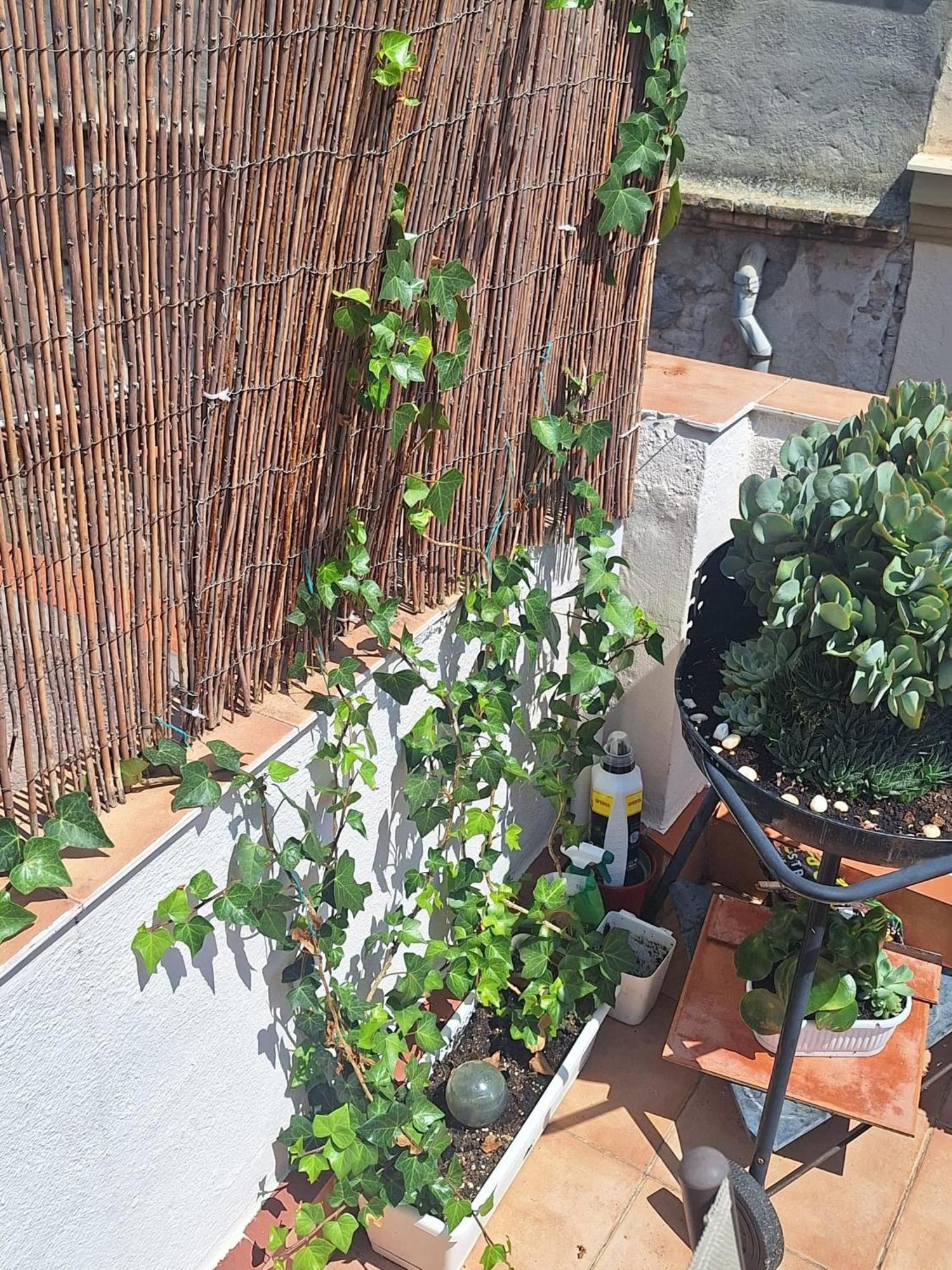 El Terrat De La Tecla Apartamento