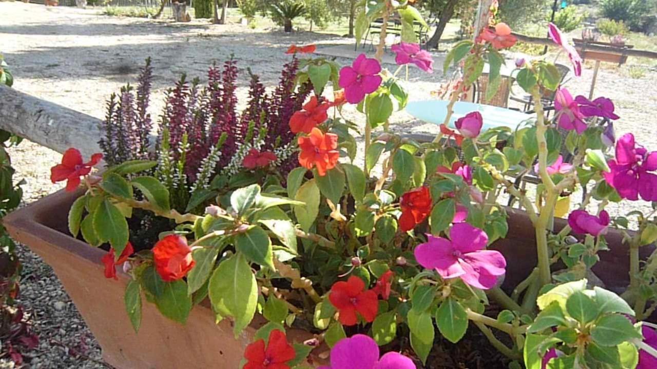 Hort De L'aubert Cretas