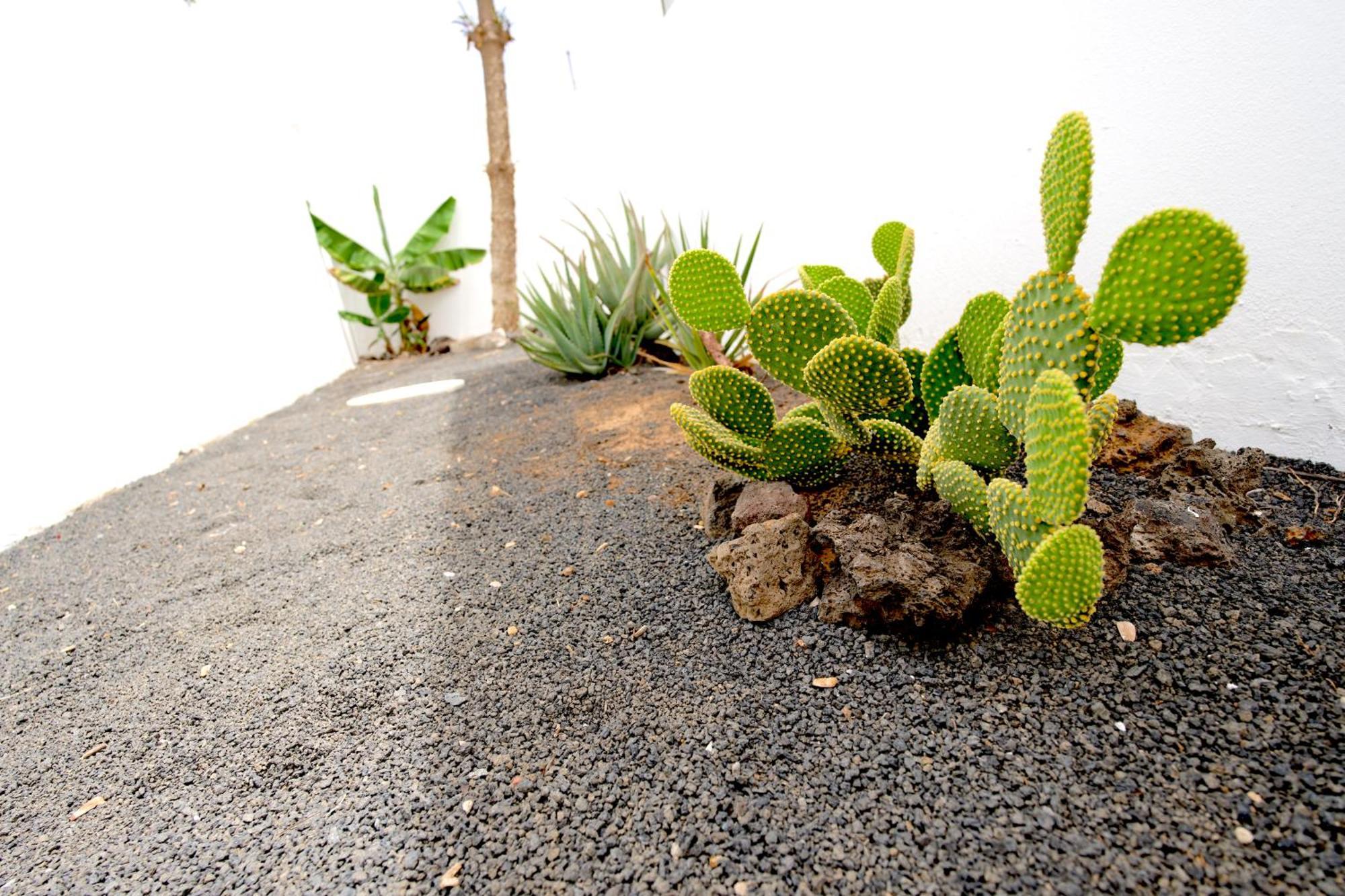 Сasa de vacaciones Kalendra, Rofe, Lanzarote Guatiza