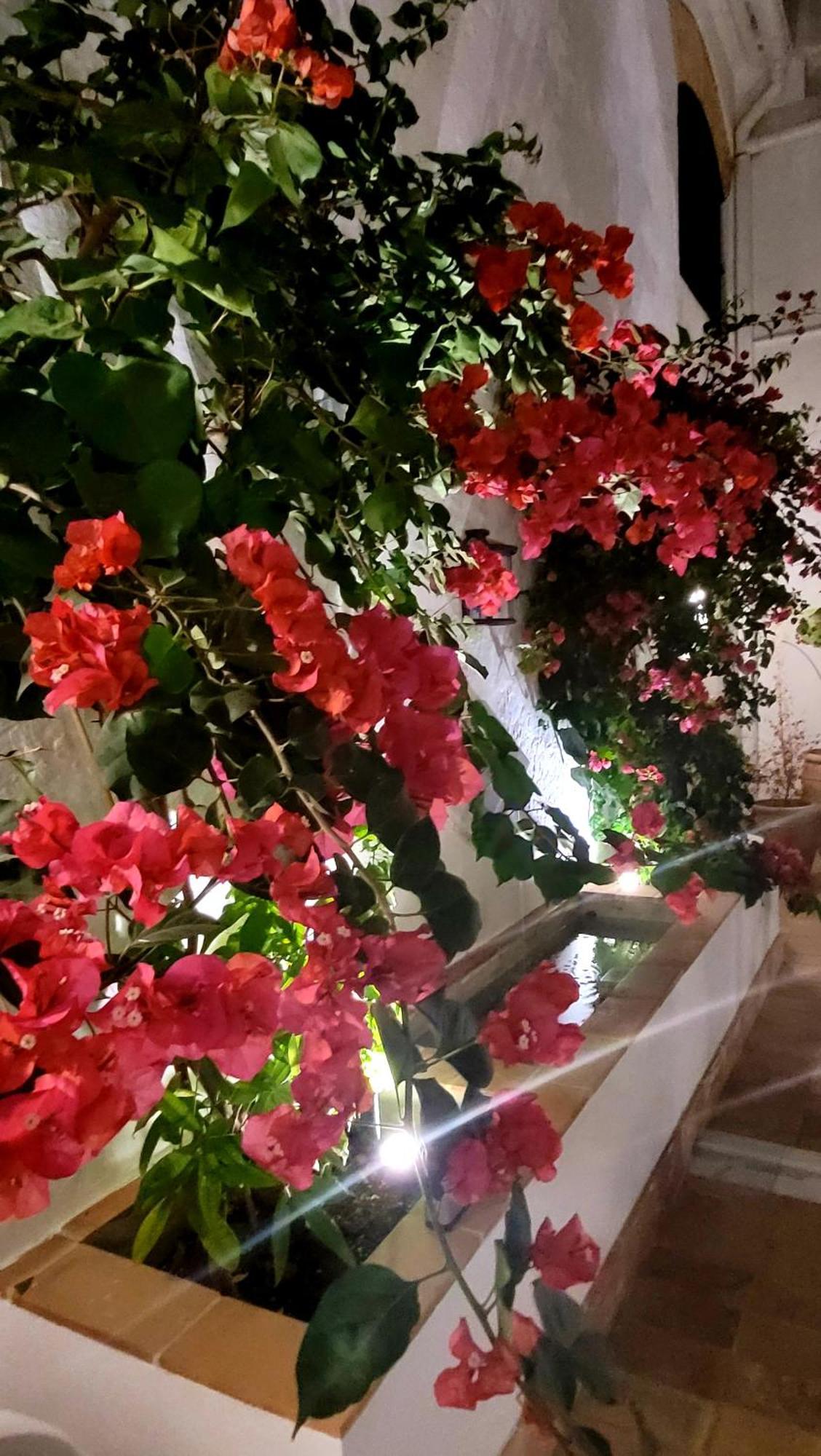 Albariza Boutique Hotel
