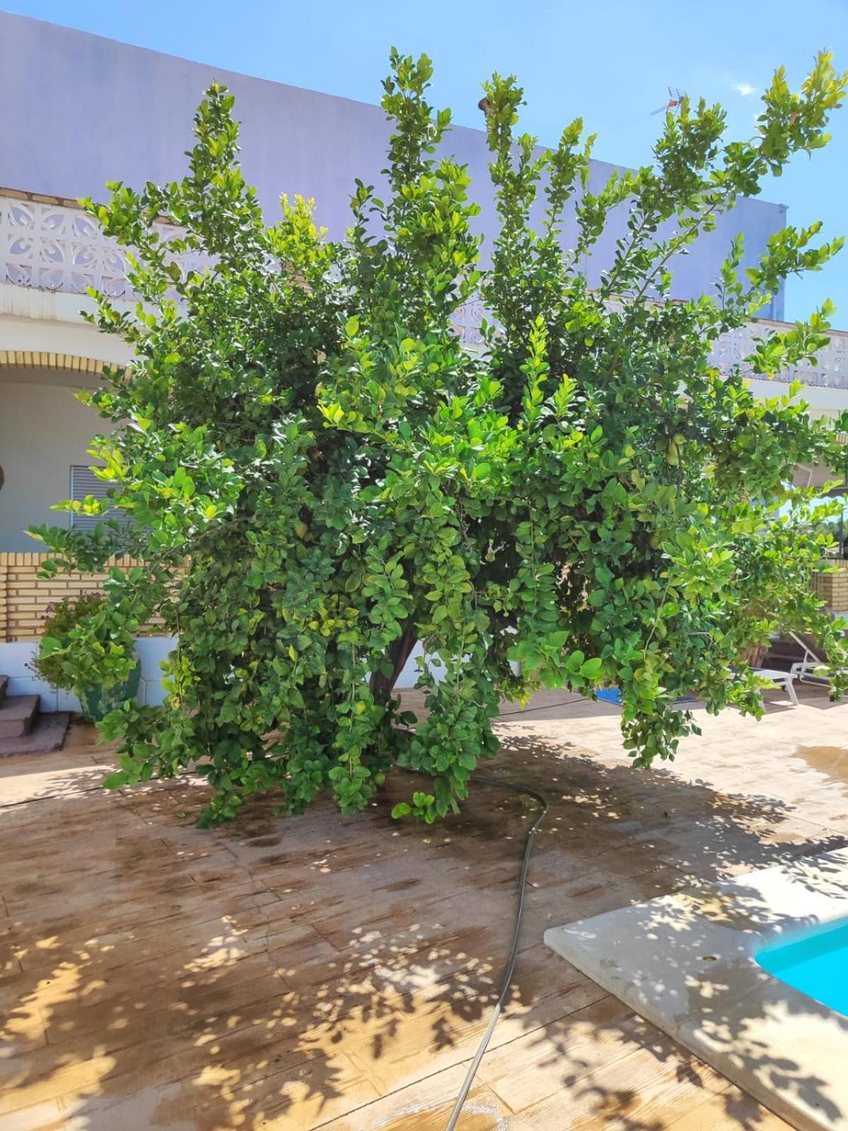 El Recreo, Private Pool & Bbq
