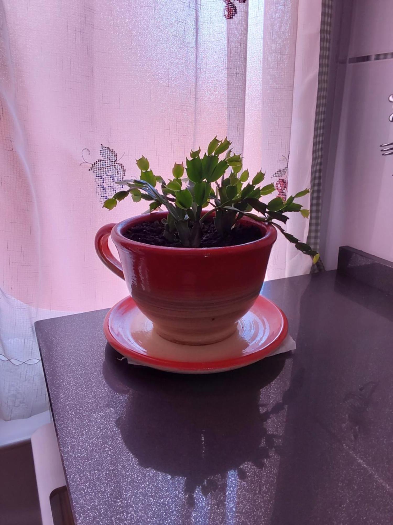 Turístico En El Centro De Apartamento *