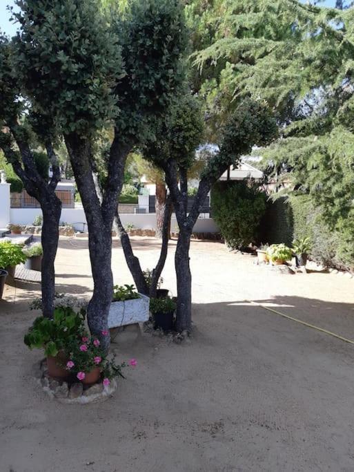 Chalet En La Sierra De Guadarrama Alpedrete