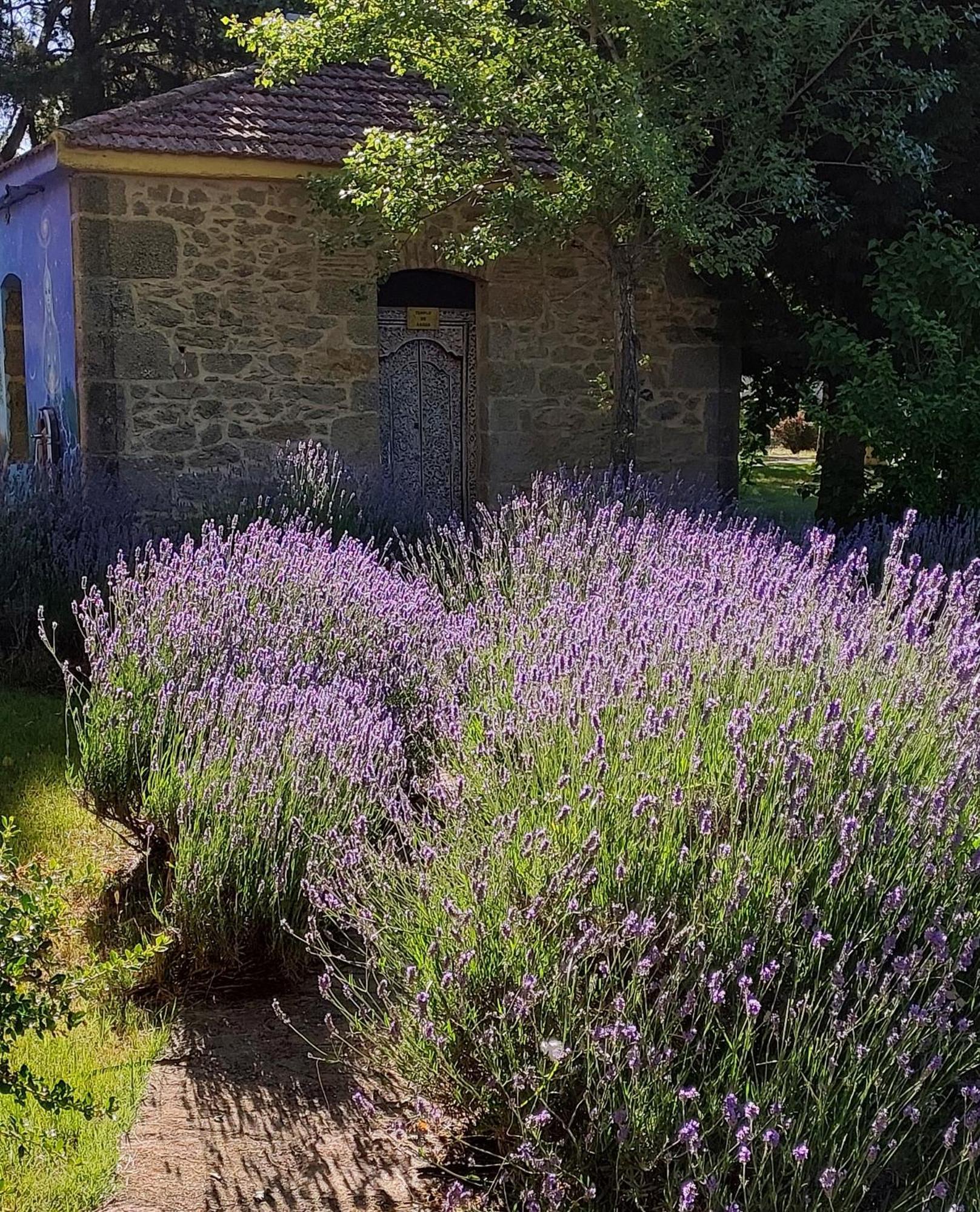 Country house Casa Atenea *