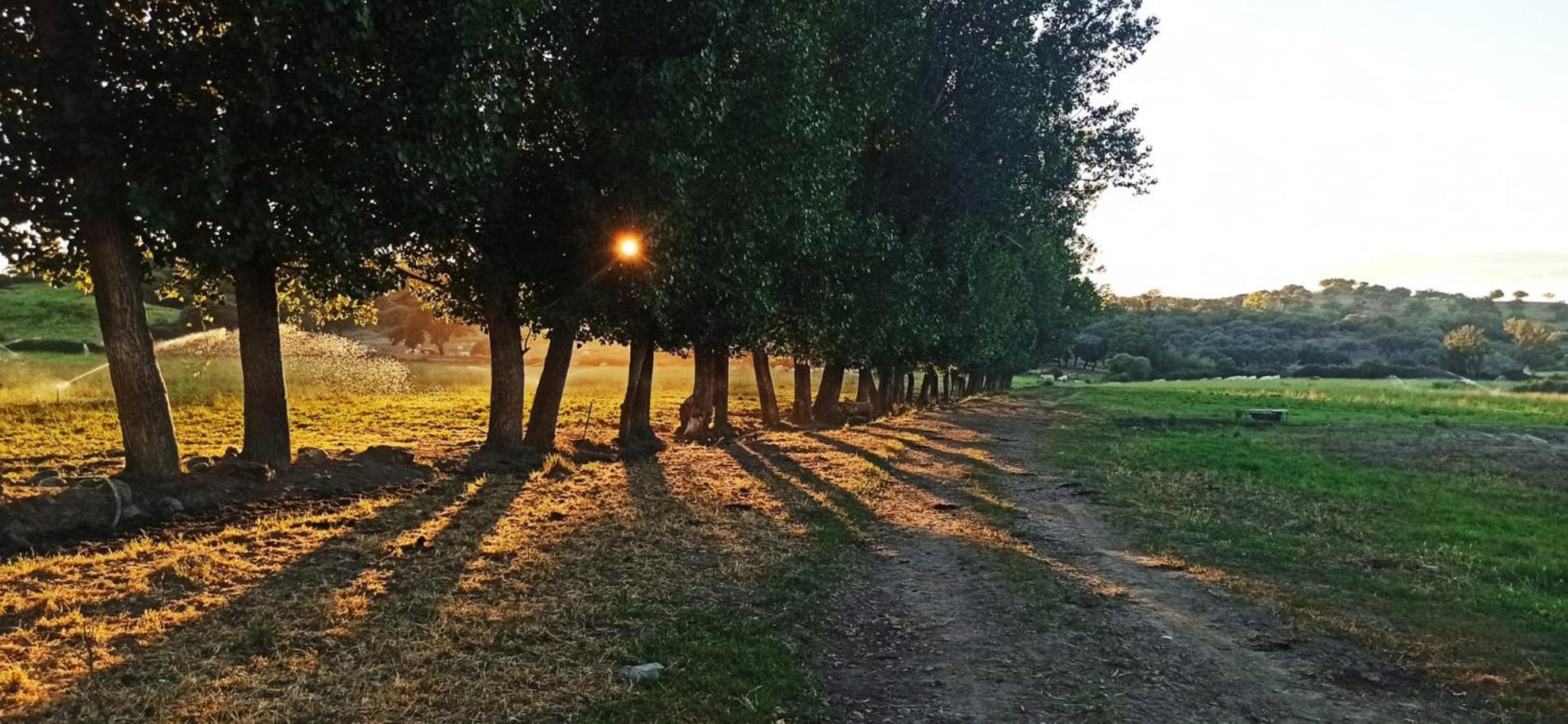 San Bernardo 3 Estrellas *