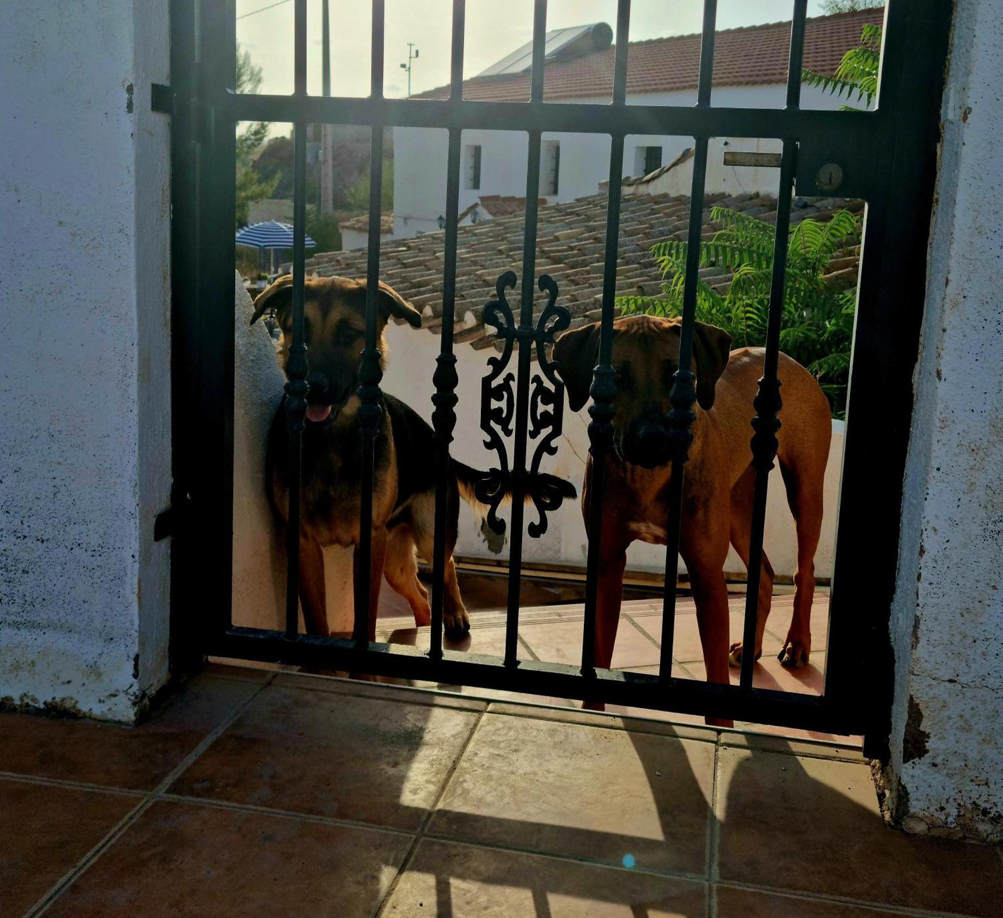Cortijo Nudista Con Vistas Apartamento Oria