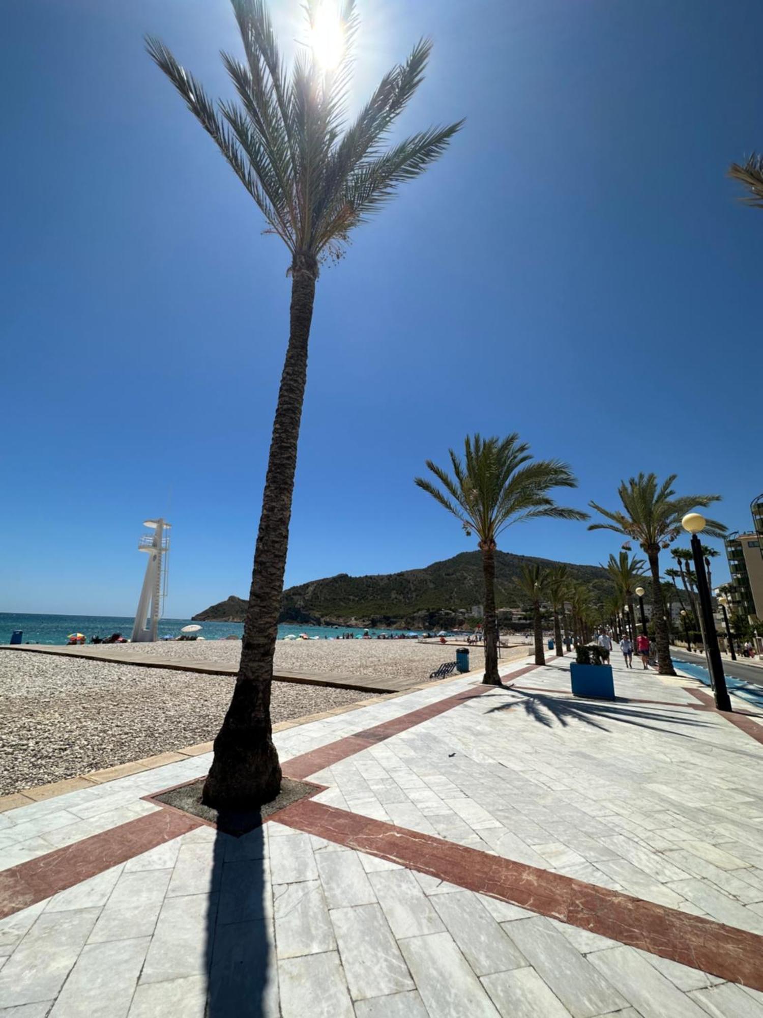 En La Playa De Albir * El Albir